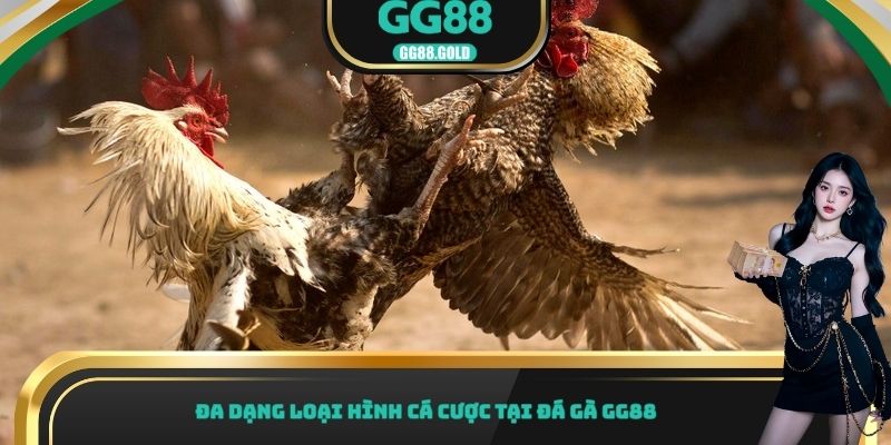Đa dạng loại hình cá cược tại đá gà GG88