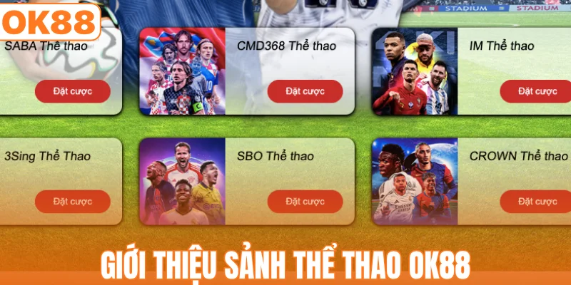 Giới thiệu sảnh thể thao OK88