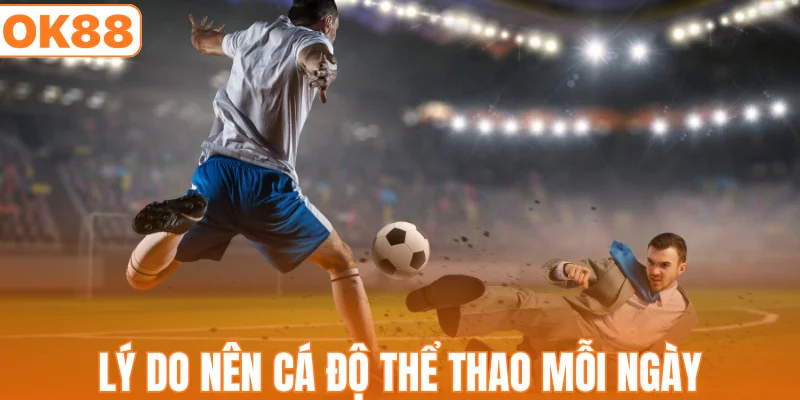 Lý do nên cá độ thể thao mỗi ngày