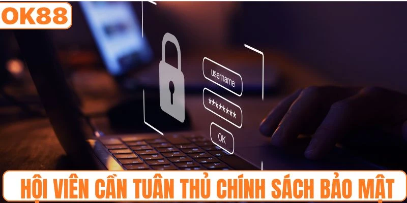 Người chơi cần tuân thủ quy định trong chính sách