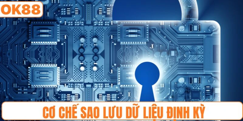 Sao lưu dữ liệu cá nhân định kỳ