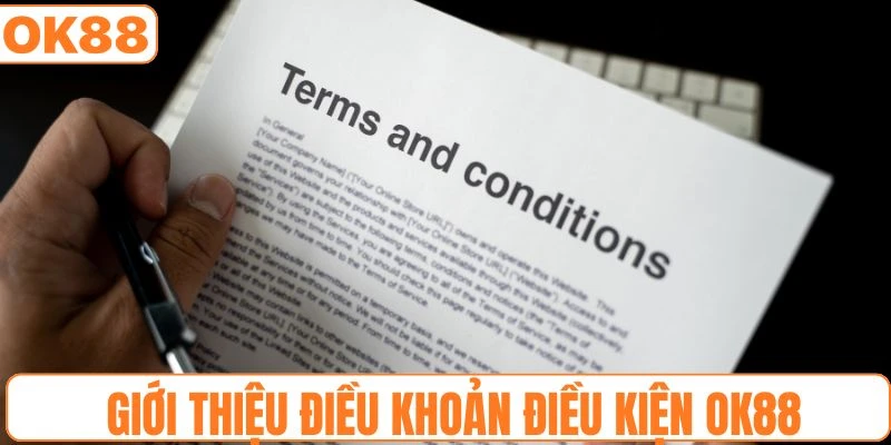 Tóm lược thông tin về điều khoản điều kiện